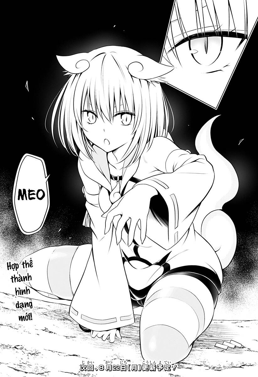 Nhẫn Giả Diệt Quỷ Chapter 101 - Trang 23