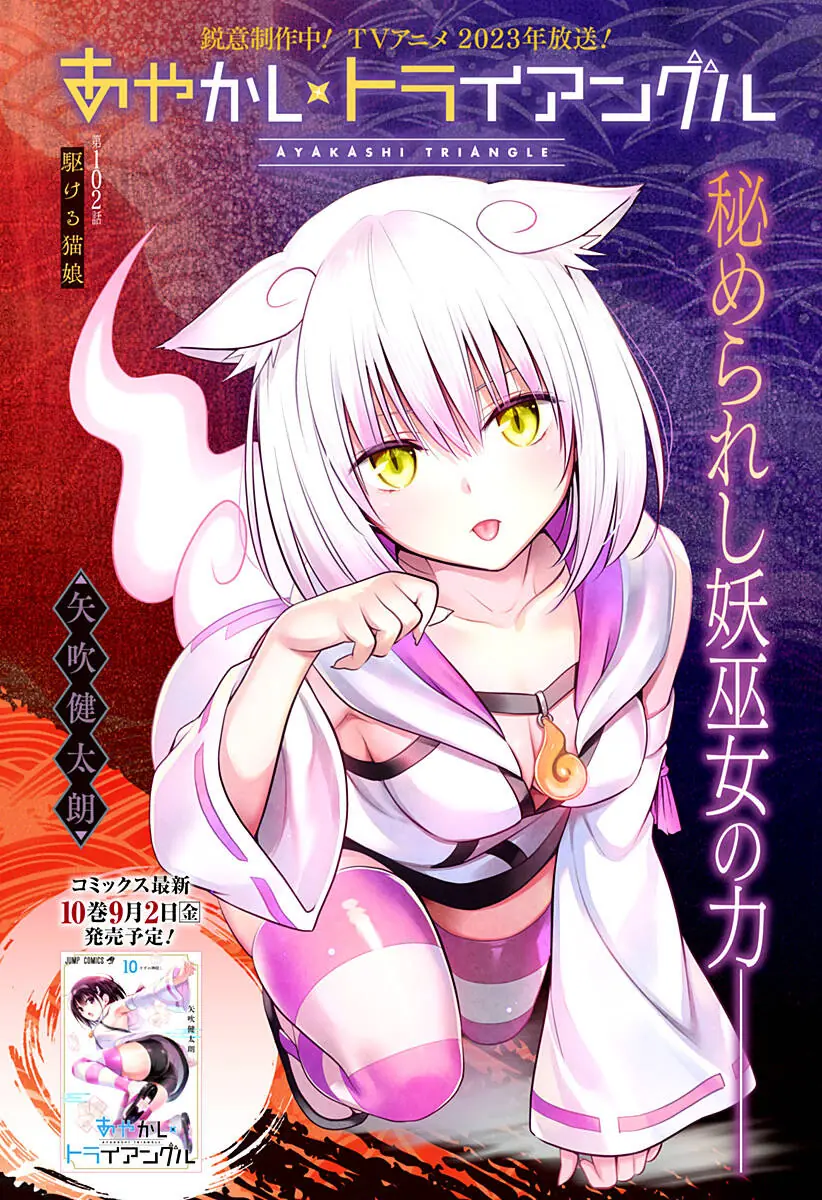 Nhẫn Giả Diệt Quỷ Chapter 102 - Trang 4