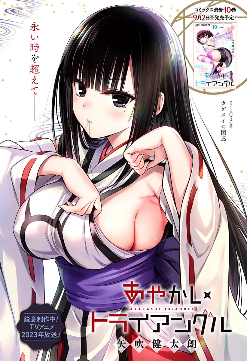 Nhẫn Giả Diệt Quỷ Chapter 103 - Trang 4