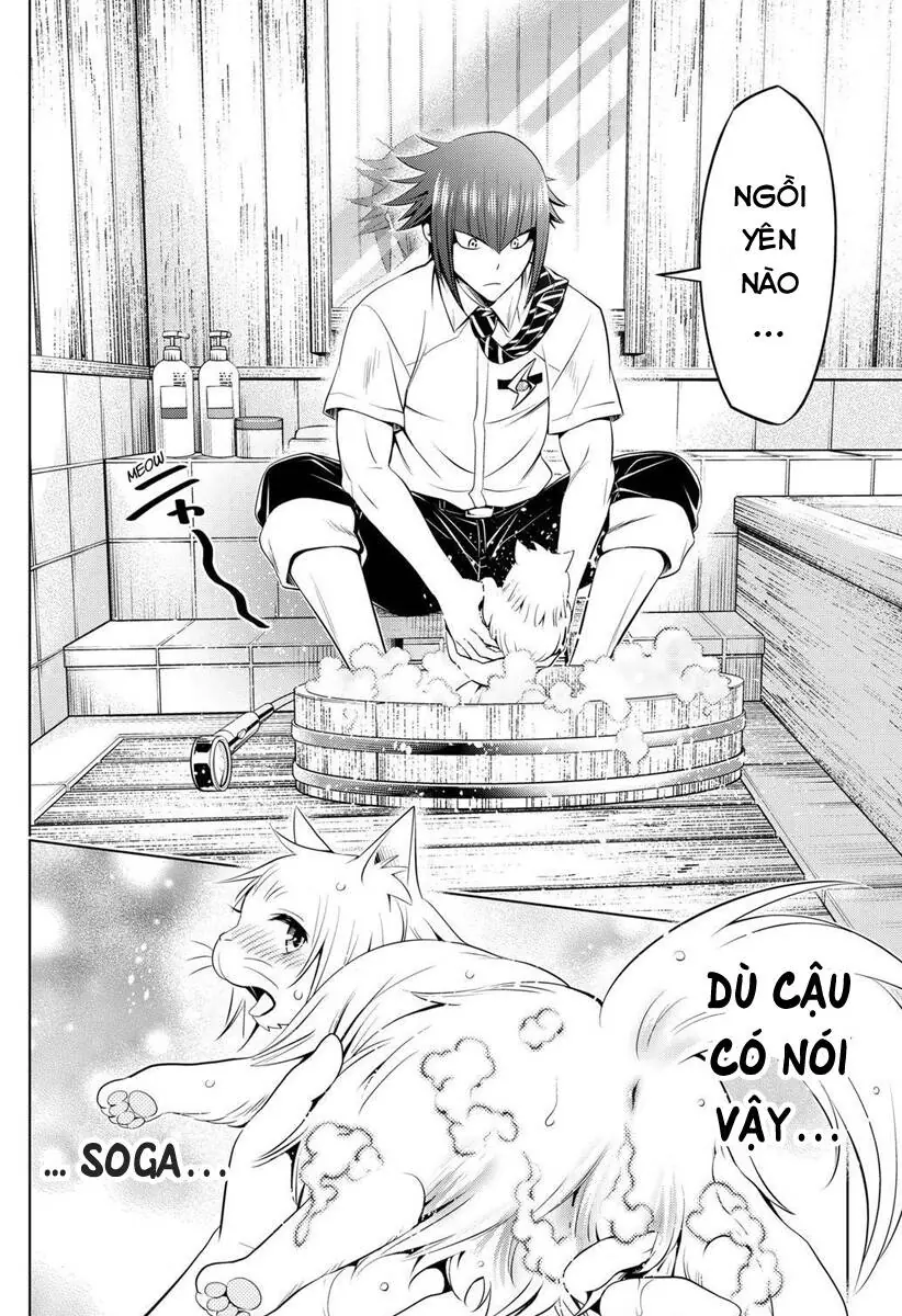 Nhẫn Giả Diệt Quỷ Chapter 105 - Trang 19