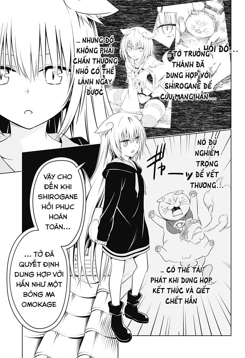 Nhẫn Giả Diệt Quỷ Chapter 107 - Trang 14