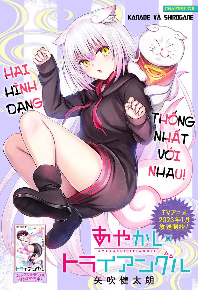 Nhẫn Giả Diệt Quỷ Chapter 108 - Trang 3