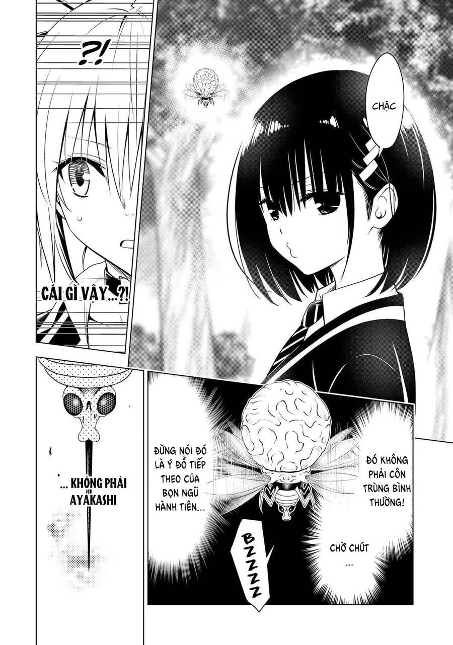 Nhẫn Giả Diệt Quỷ Chapter 117 - Trang 12