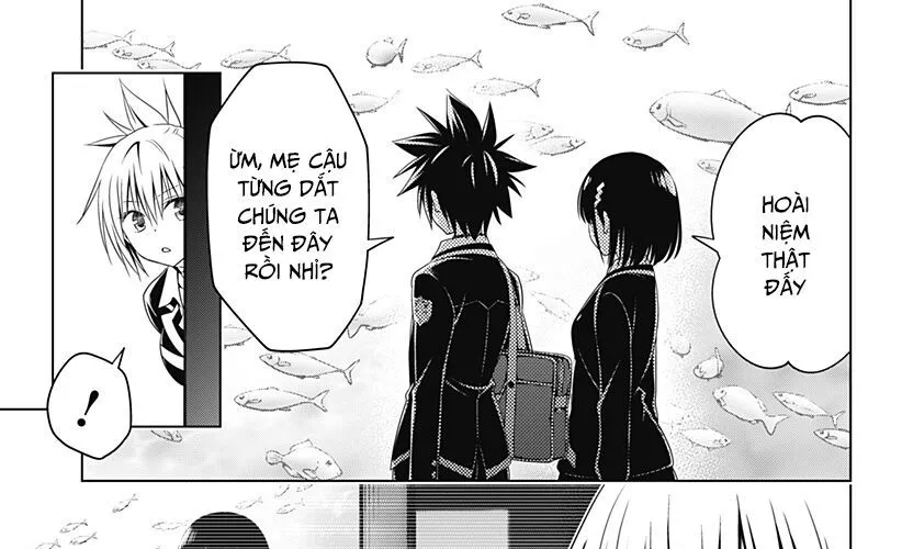Nhẫn Giả Diệt Quỷ Chapter 129 - Trang 16
