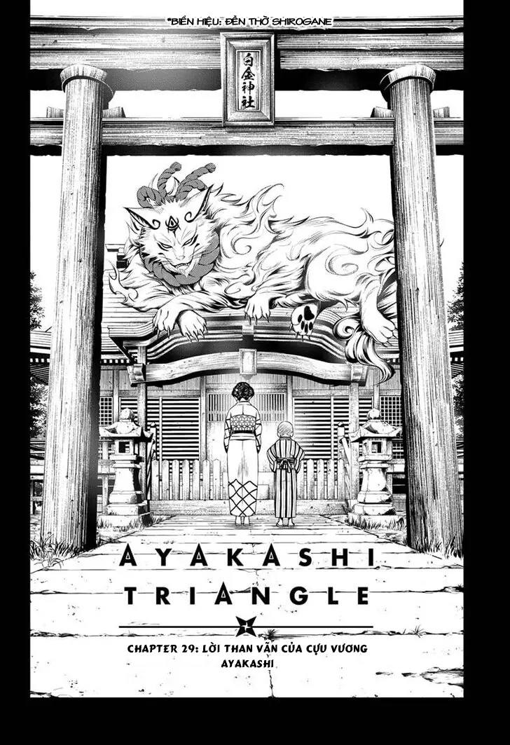 Nhẫn Giả Diệt Quỷ Chapter 29 - Trang 6