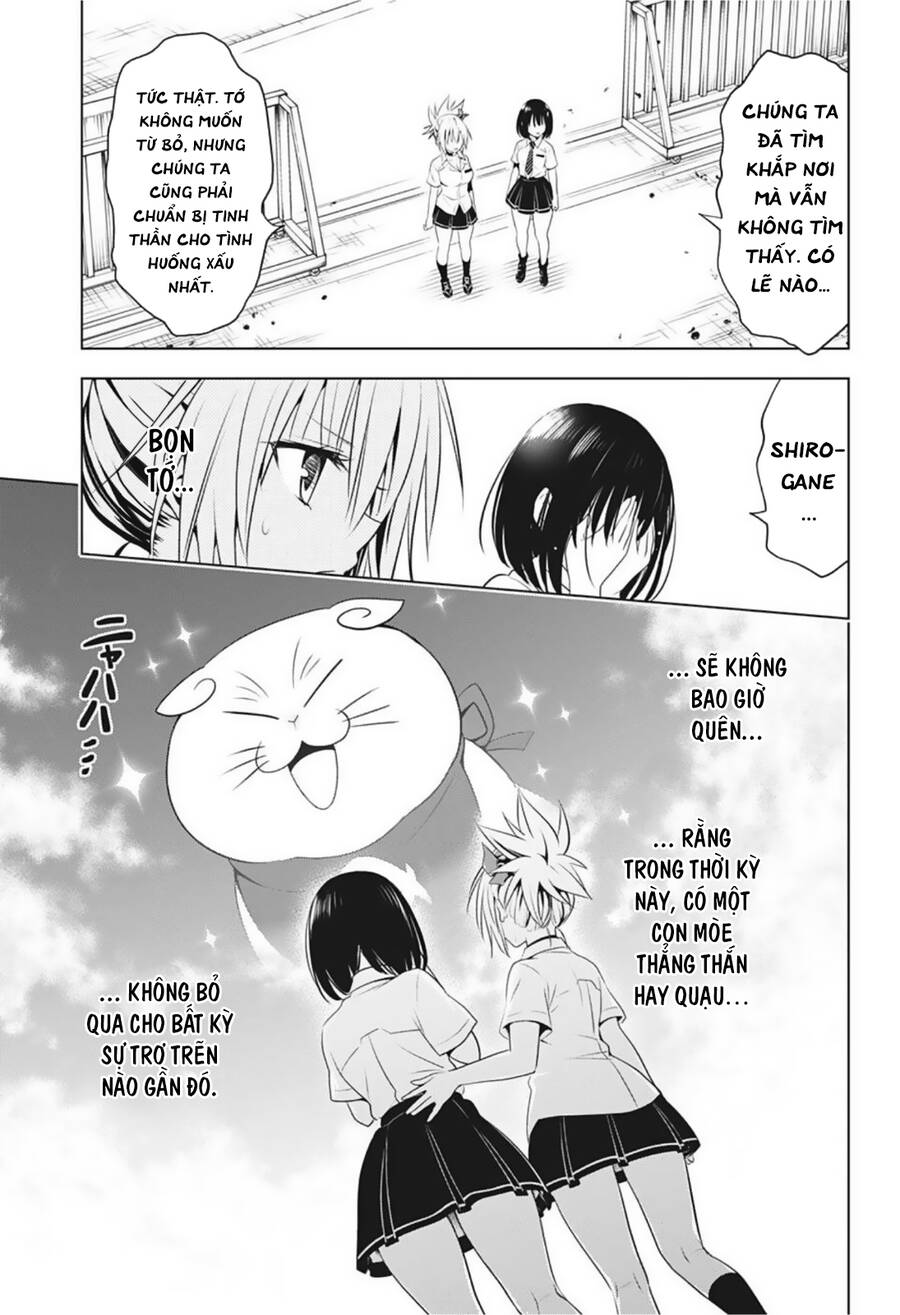 Nhẫn Giả Diệt Quỷ Chapter 82 - Trang 20