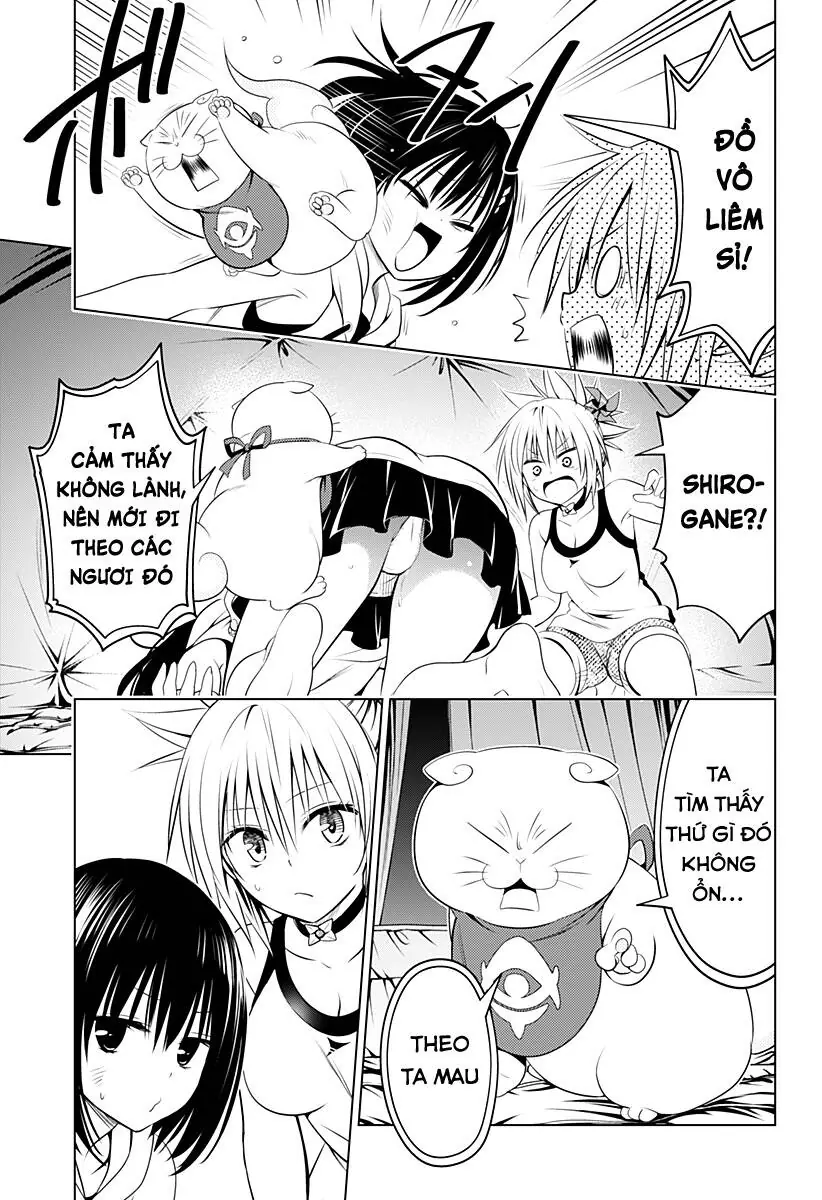 Nhẫn Giả Diệt Quỷ Chapter 97 - Trang 15
