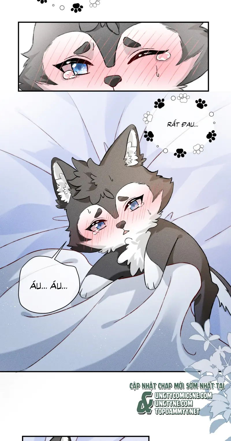 Nhận Kẻ Địch Làm Cha Chapter 17 - Trang 22