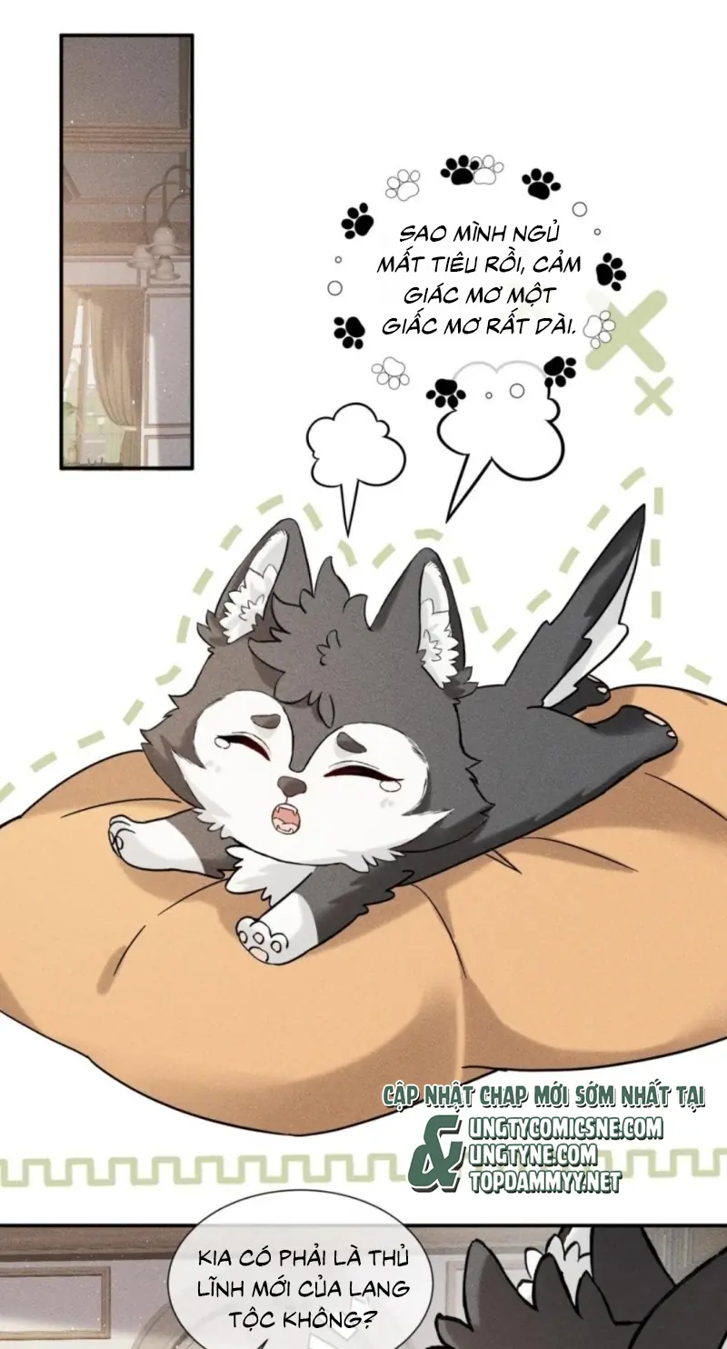 Nhận Kẻ Địch Làm Cha Chapter 21 - Trang 3