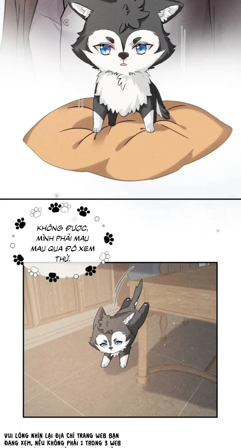 Nhận Kẻ Địch Làm Cha Chapter 21 - Trang 5