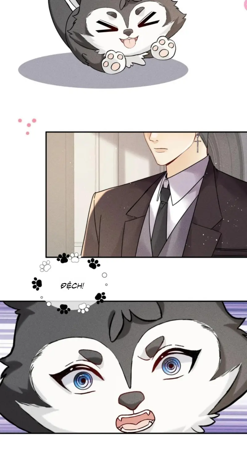 Nhận Kẻ Địch Làm Cha Chapter 21 - Trang 7
