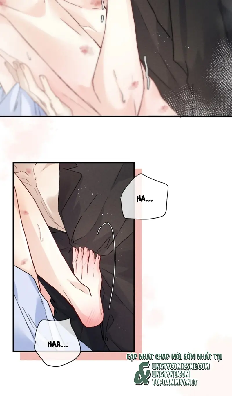 Nhận Kẻ Địch Làm Cha Chapter 23 - Trang 8