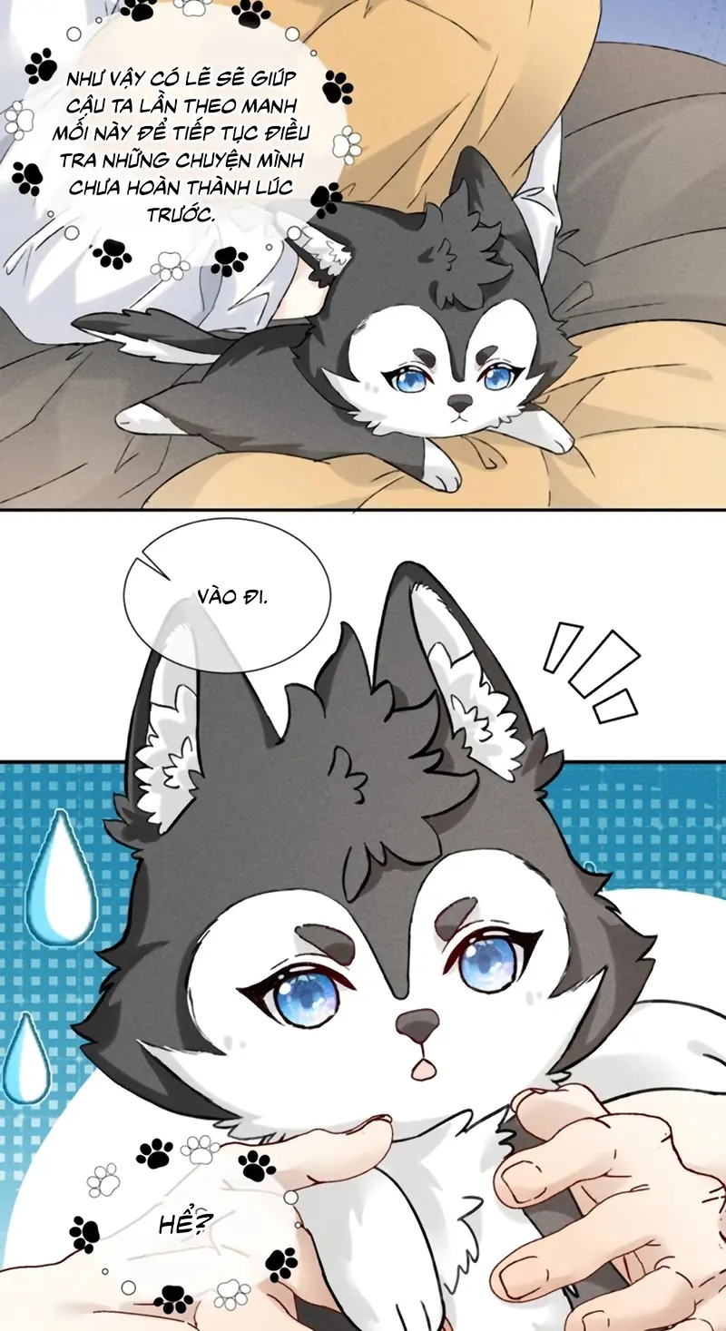 Nhận Kẻ Địch Làm Cha Chapter 24 - Trang 10