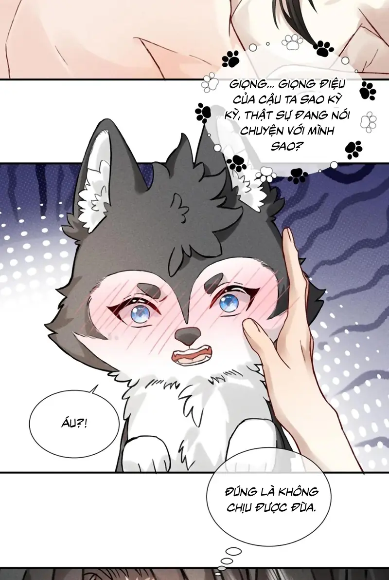 Nhận Kẻ Địch Làm Cha Chapter 24 - Trang 20