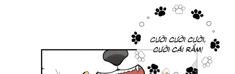 Nhận Kẻ Địch Làm Cha Chapter 27 - Trang 19