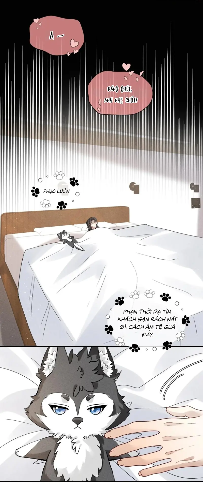 Nhận Kẻ Địch Làm Cha Chapter 28 - Trang 11
