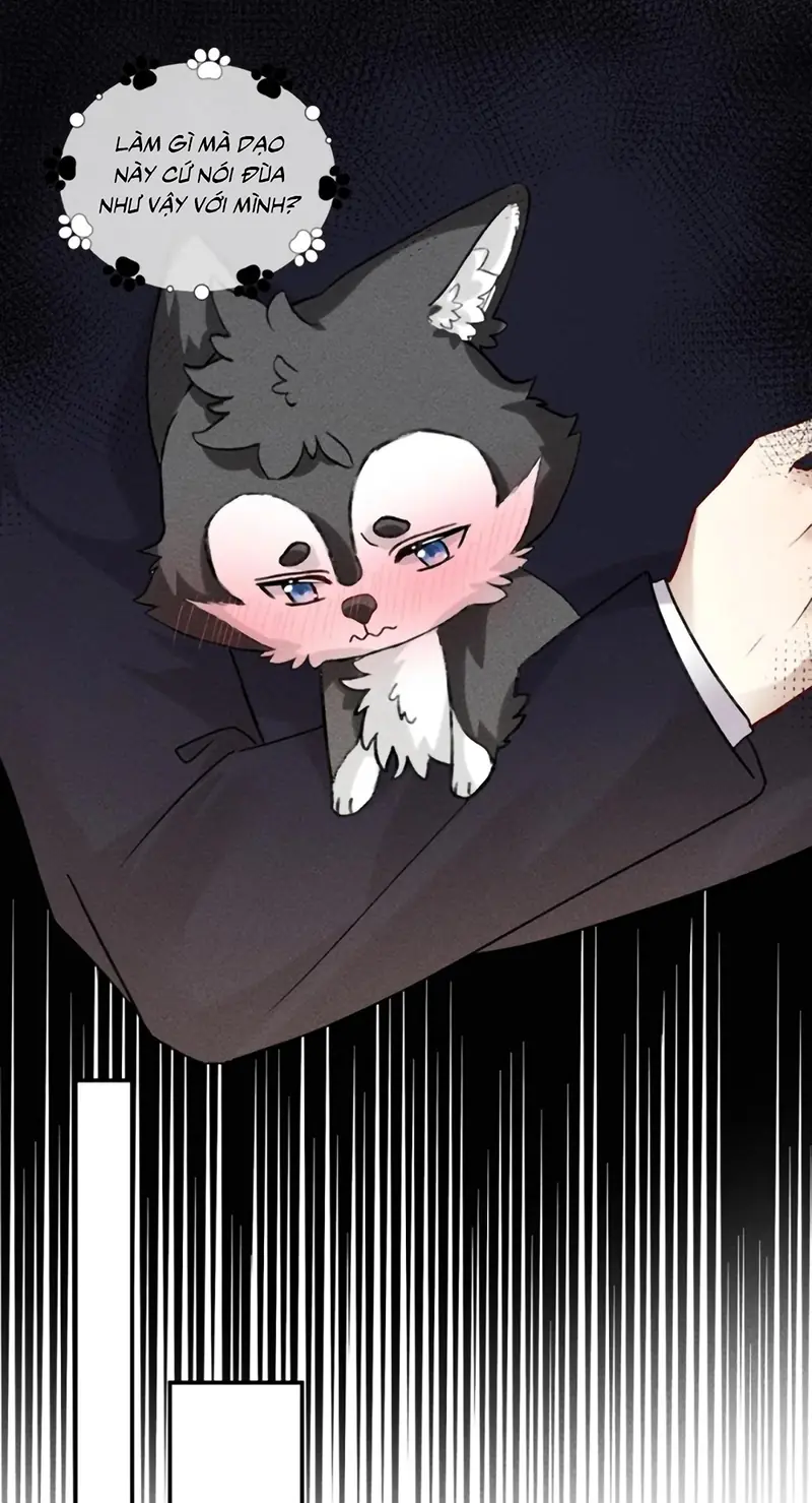 Nhận Kẻ Địch Làm Cha Chapter 28 - Trang 5