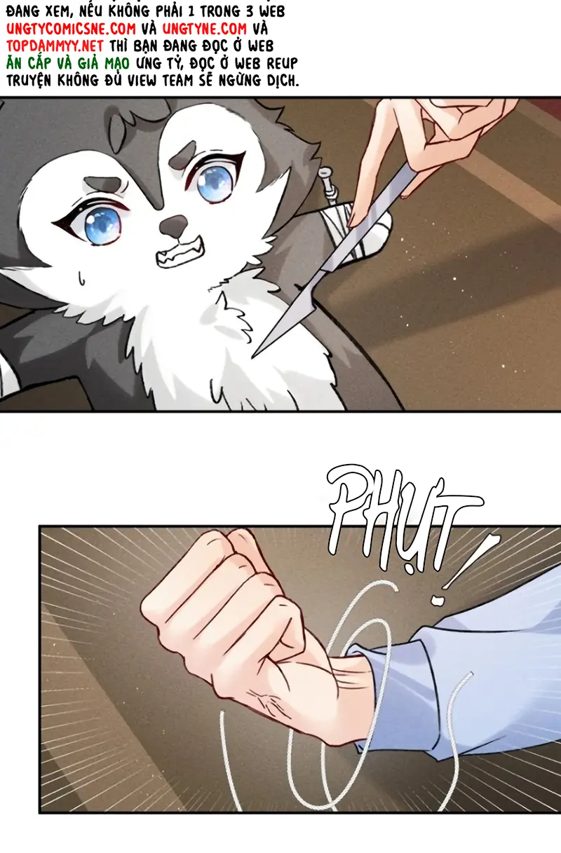 Nhận Kẻ Địch Làm Cha Chapter 32 - Trang 11