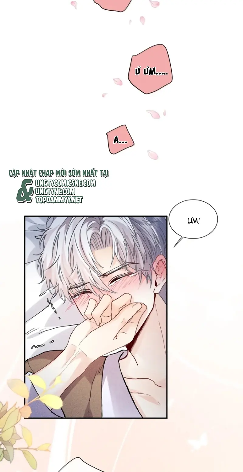 Nhận Kẻ Địch Làm Cha Chapter 34 - Trang 19