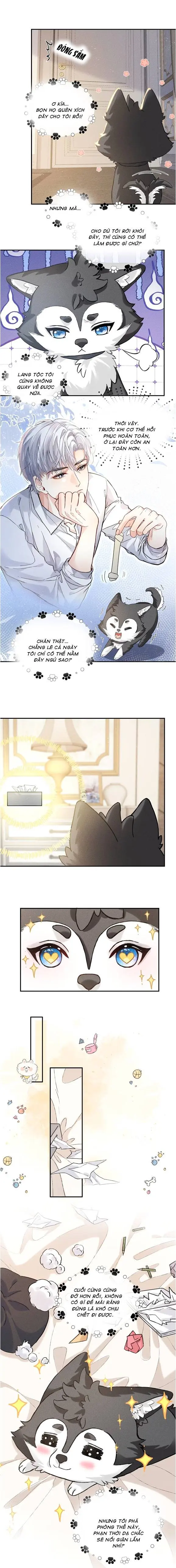 Nhận kẻ thù làm cha Chapter 4 - Trang 5