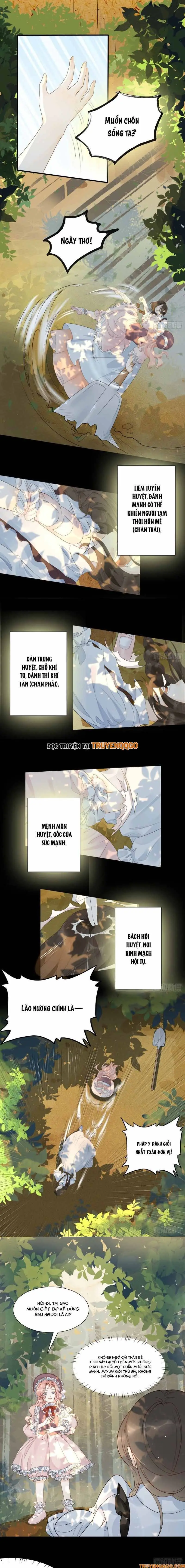 Nhân Thiết Công Chúa Không Giữ Nổi Nữa! Chapter 1 - Trang 7