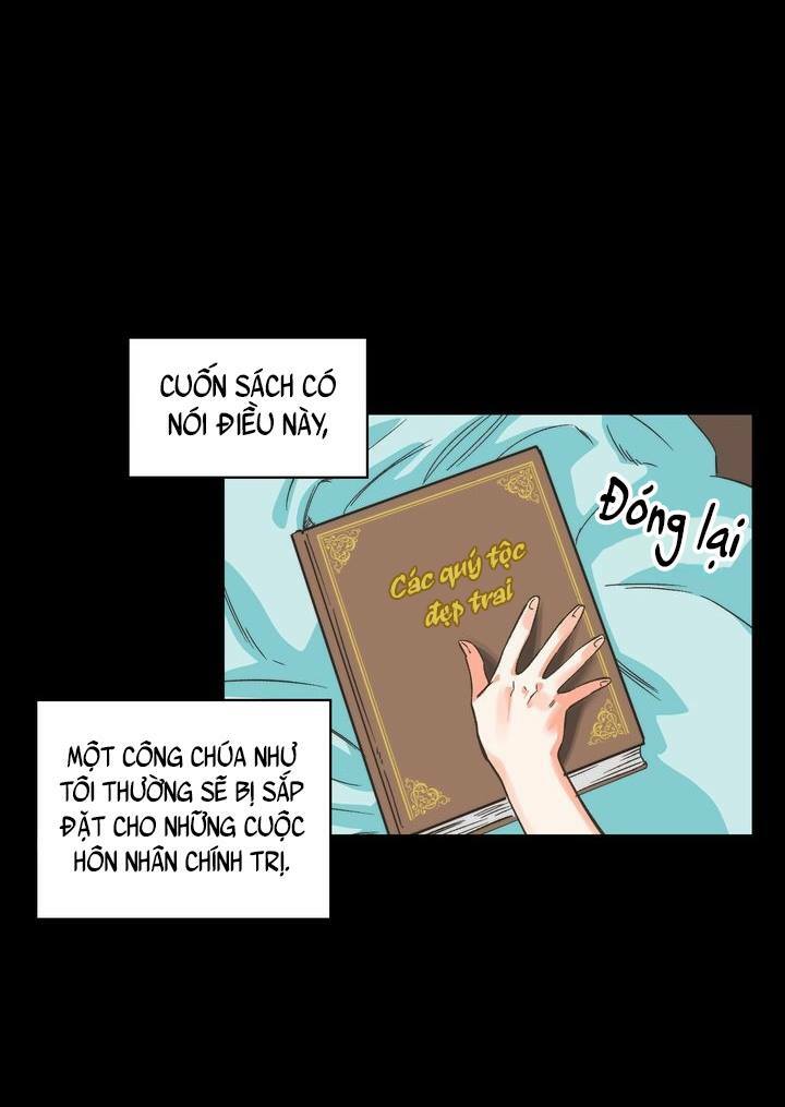 Nhân Vật Phản Diện Xứng Đôi Với Bạo Chúa Chapter 1 - Trang 17