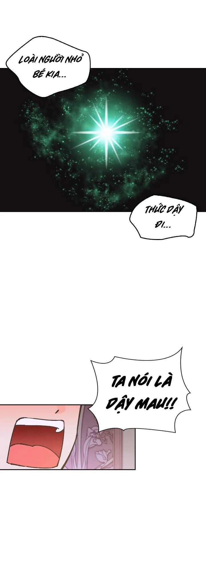 Nhân Vật Phản Diện Xứng Đôi Với Bạo Chúa Chapter 12 - Trang 2
