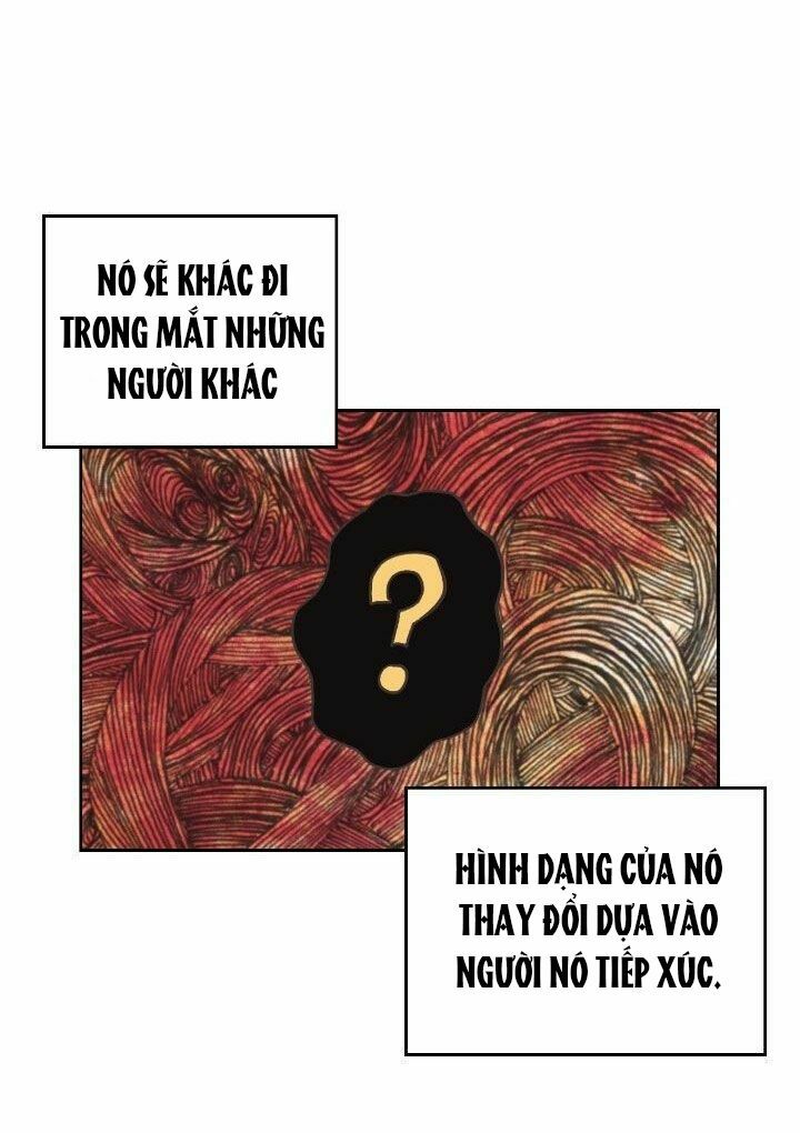 Nhân Vật Phản Diện Xứng Đôi Với Bạo Chúa Chapter 21 - Trang 29