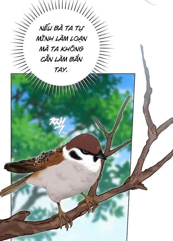 Nhật Ký Sinh Tồn Của Một Nha Hoàn Trong Gia Tộc Họ Đường Ở Tứ Xuyên Chapter 27 - Trang 27