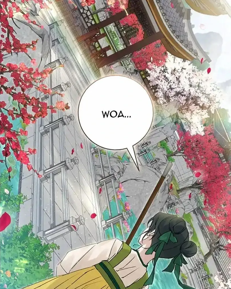Nhật Ký Sinh Tồn Của Một Nha Hoàn Trong Gia Tộc Họ Đường Ở Tứ Xuyên Chapter 4 - Trang 14