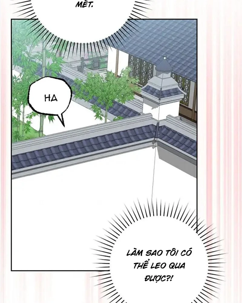Nhật Ký Sinh Tồn Của Một Nha Hoàn Trong Gia Tộc Họ Đường Ở Tứ Xuyên Chapter 9 - Trang 33