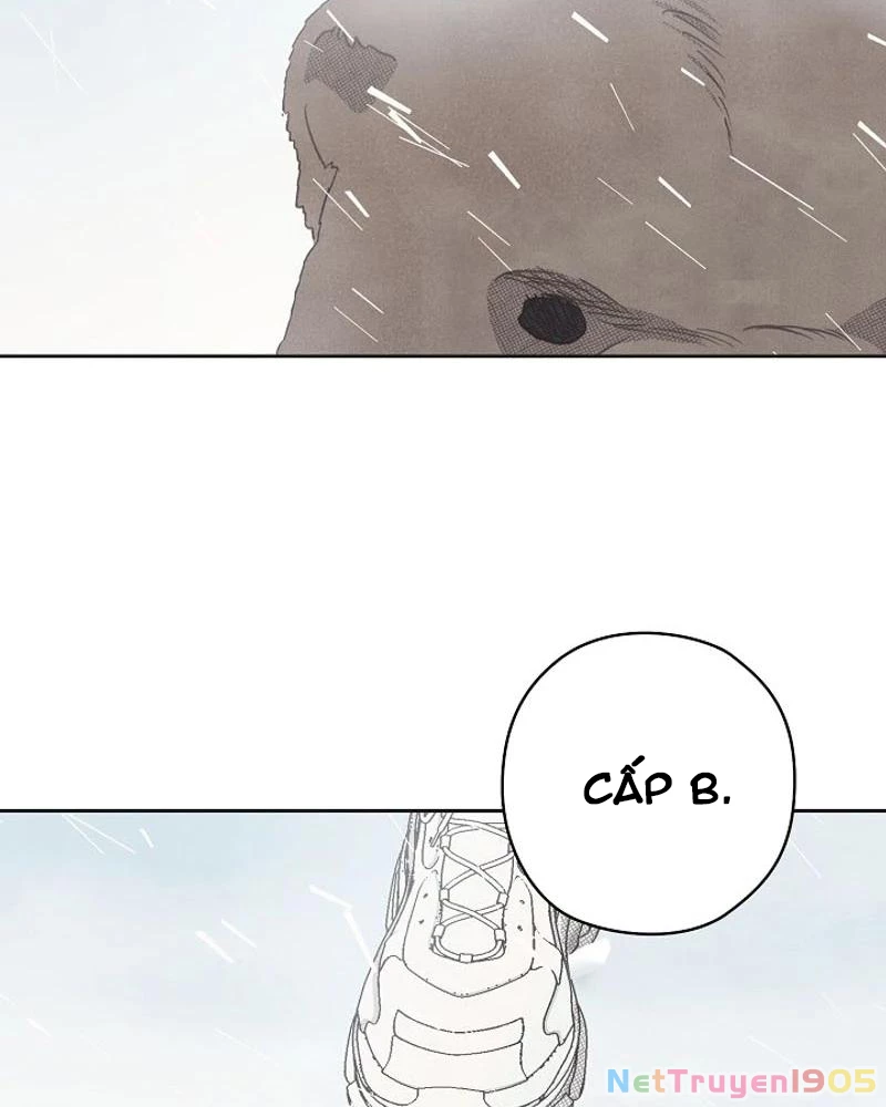 Nhật Ký Thuần Hóa Của Linh Sư Cấp S Chapter 15 - Trang 4