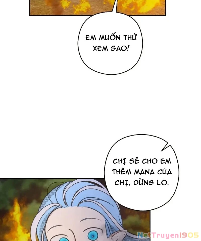 Nhật Ký Thuần Hóa Của Linh Sư Cấp S Chapter 19 - Trang 25