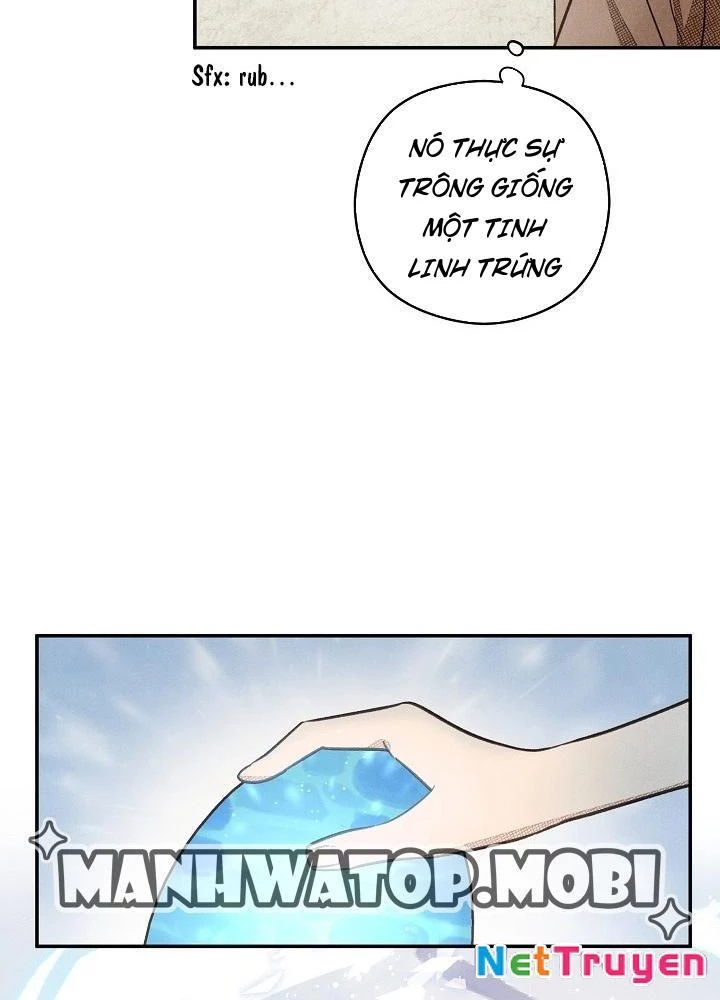 Nhật Ký Thuần Hóa Của Linh Sư Cấp S Chapter 2 - Trang 12