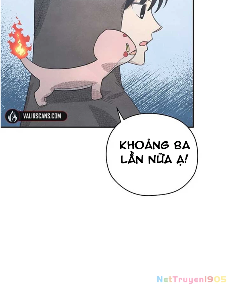 Nhật Ký Thuần Hóa Của Linh Sư Cấp S Chapter 23 - Trang 13