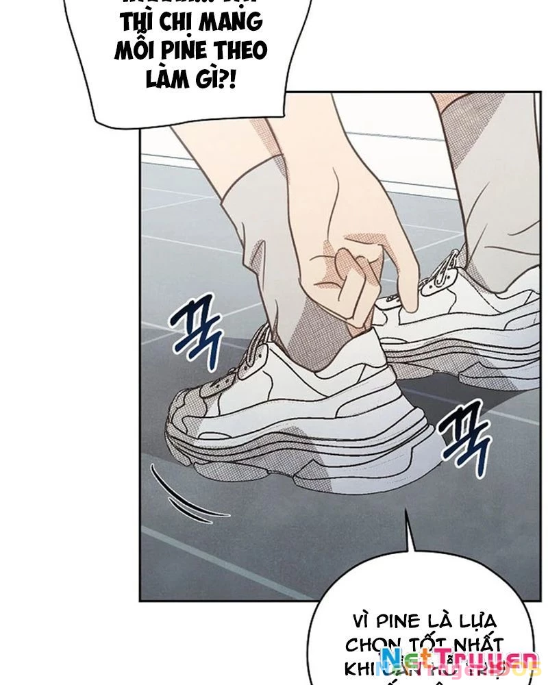 Nhật Ký Thuần Hóa Của Linh Sư Cấp S Chapter 24 - Trang 12