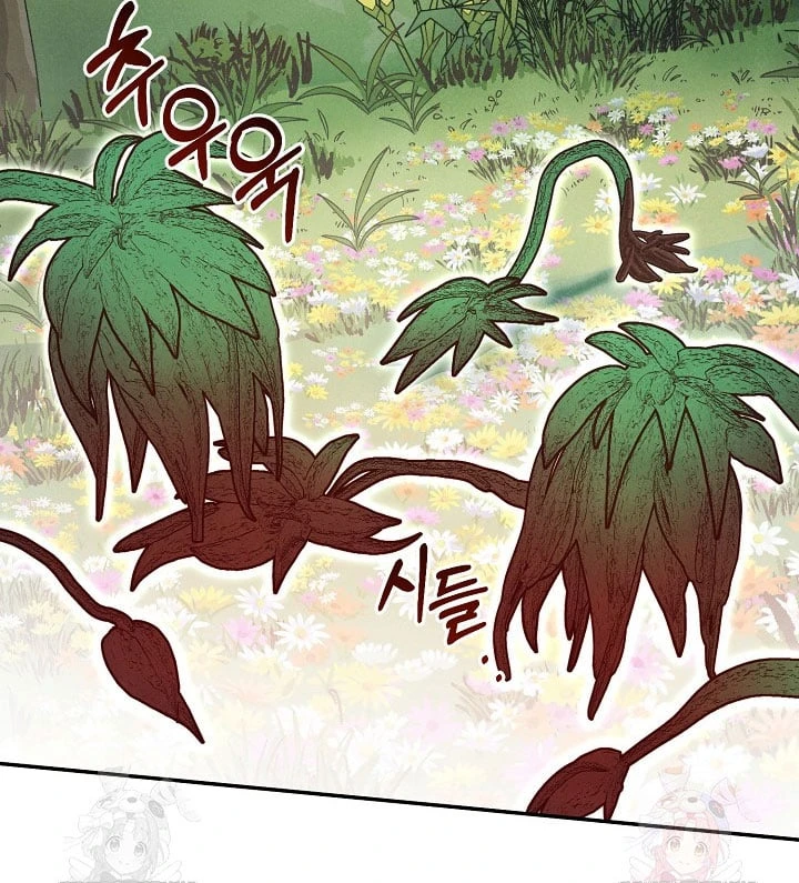 Nhật Ký Thuần Hóa Của Linh Sư Cấp S Chapter 42 - Trang 16