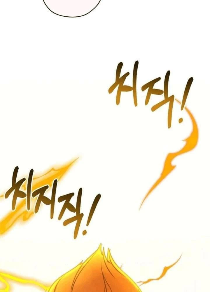 Nhật Ký Thuần Hóa Của Linh Sư Cấp S Chapter 55 - Trang 18