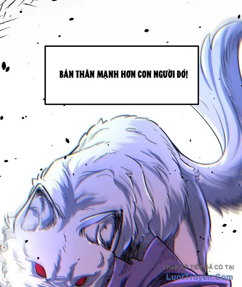Nhất Mục Giang Hồ Chapter 12 - Trang 14