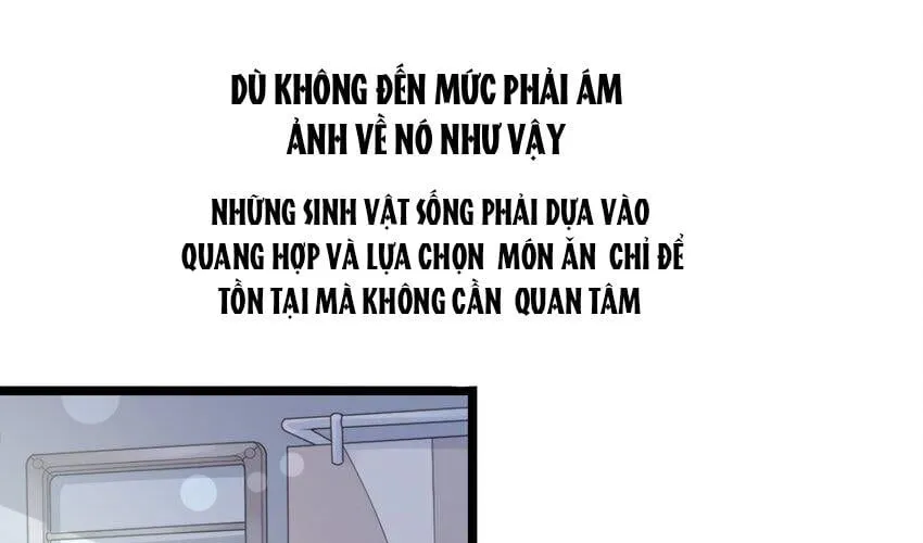 Nhìn Thấy Tia Sáng Một Lần Nữa Chapter 1 - Trang 36