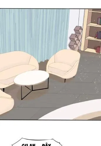 Nhìn Thấy Tia Sáng Một Lần Nữa Chapter 8 - Trang 11