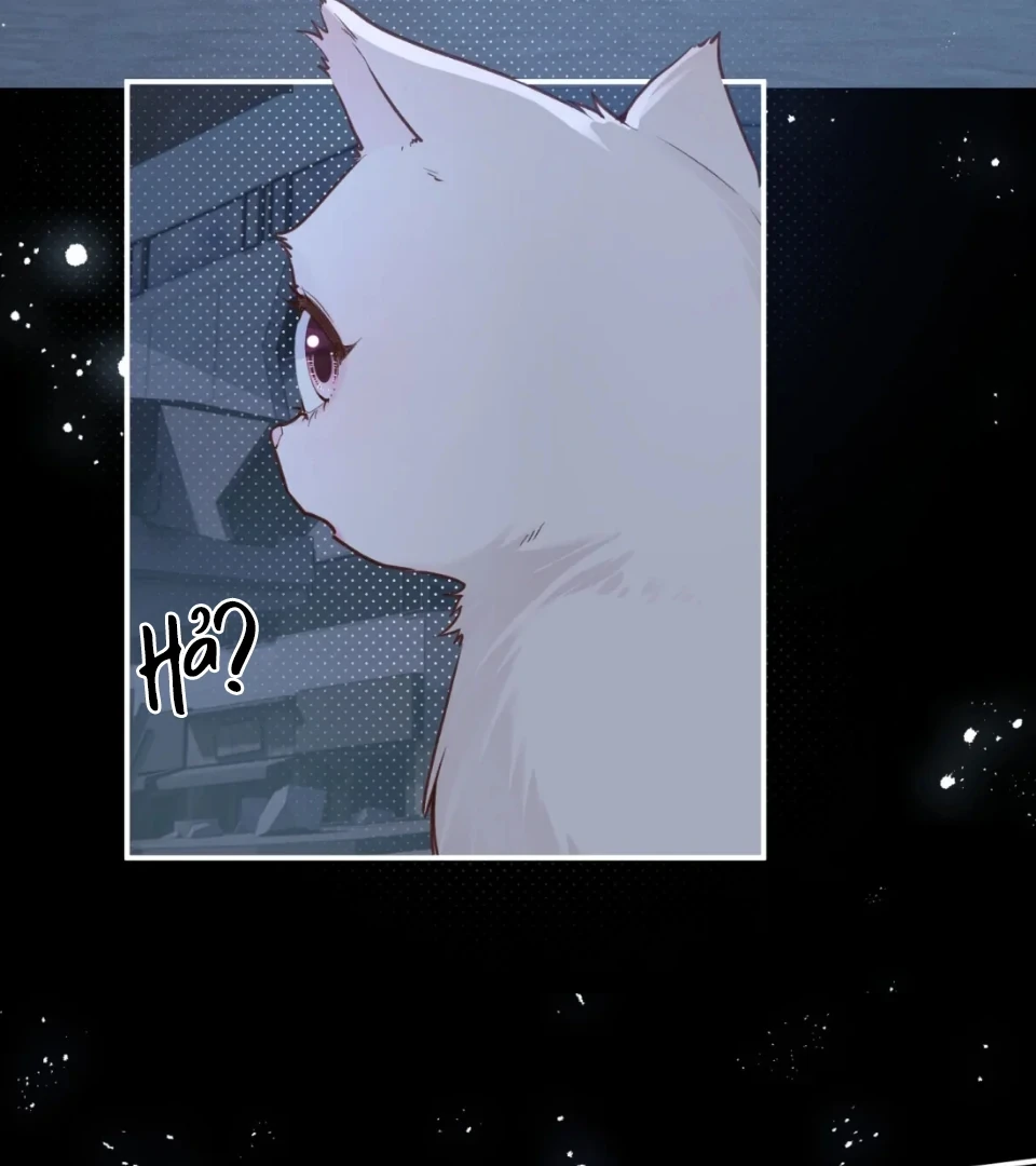 Nhịp Đập Nguy Hiểm Chapter 21 - Trang 11