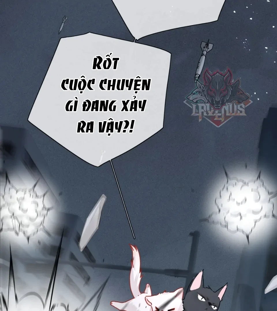 Nhịp Đập Nguy Hiểm Chapter 21 - Trang 26