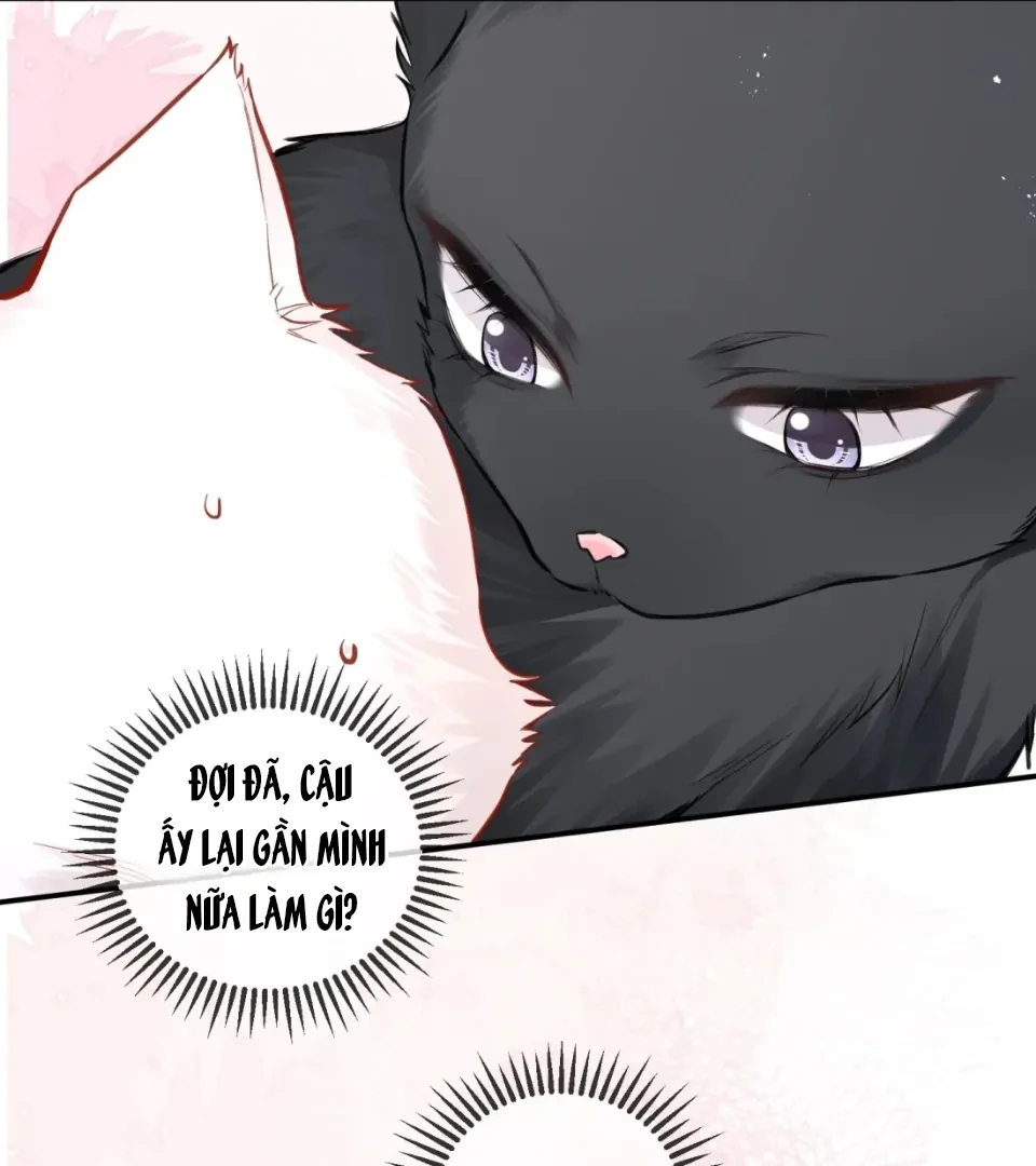 Nhịp Đập Nguy Hiểm Chapter 21 - Trang 33