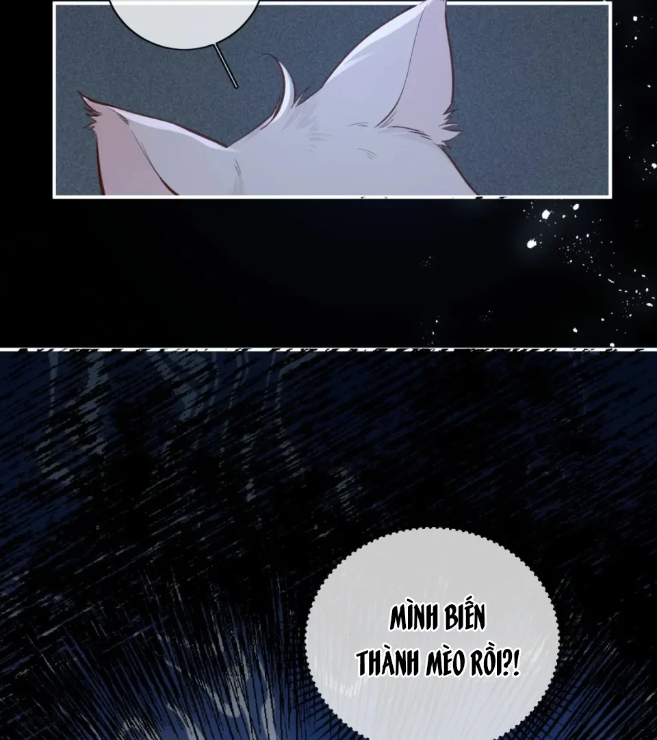 Nhịp Đập Nguy Hiểm Chapter 21 - Trang 7