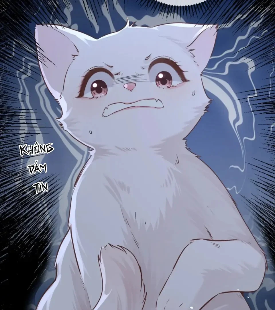 Nhịp Đập Nguy Hiểm Chapter 21 - Trang 8