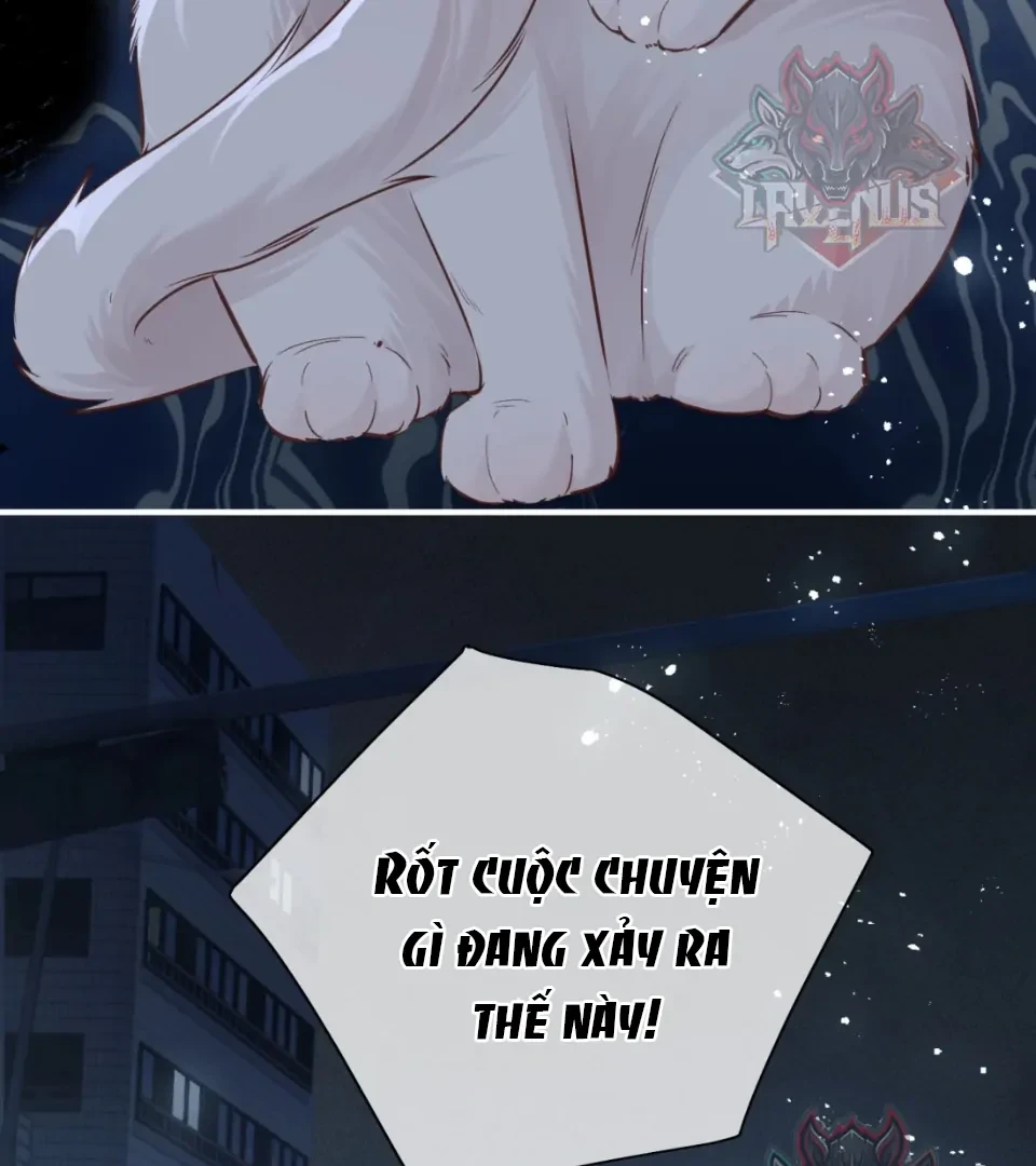 Nhịp Đập Nguy Hiểm Chapter 21 - Trang 9