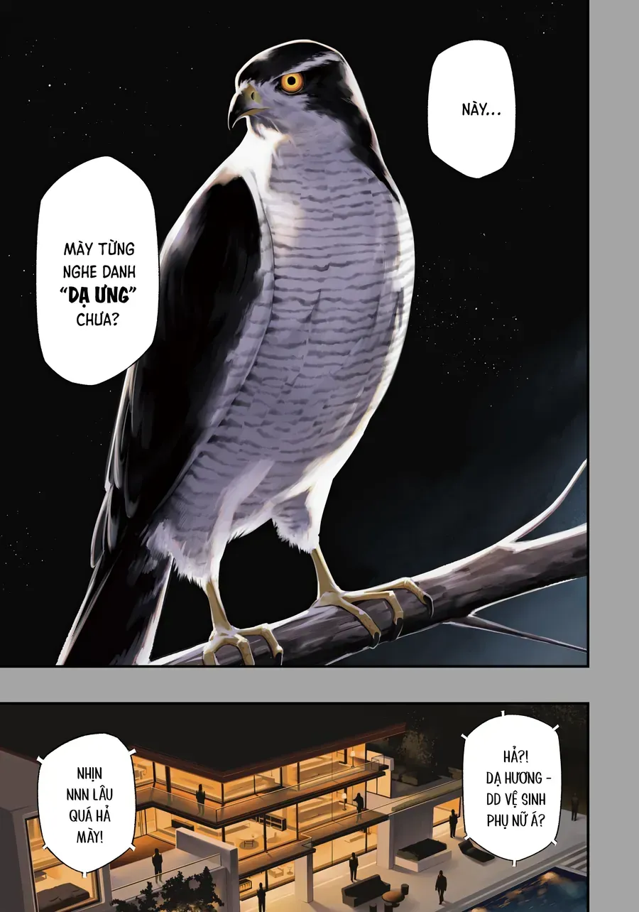 Nighthawk Returns Chapter 1 - Trang 4
