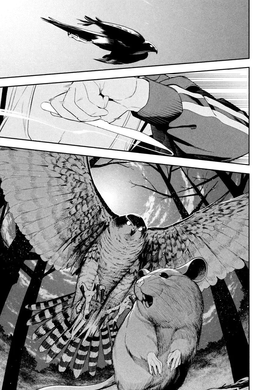 Nighthawk Returns Chapter 21 - Trang 14
