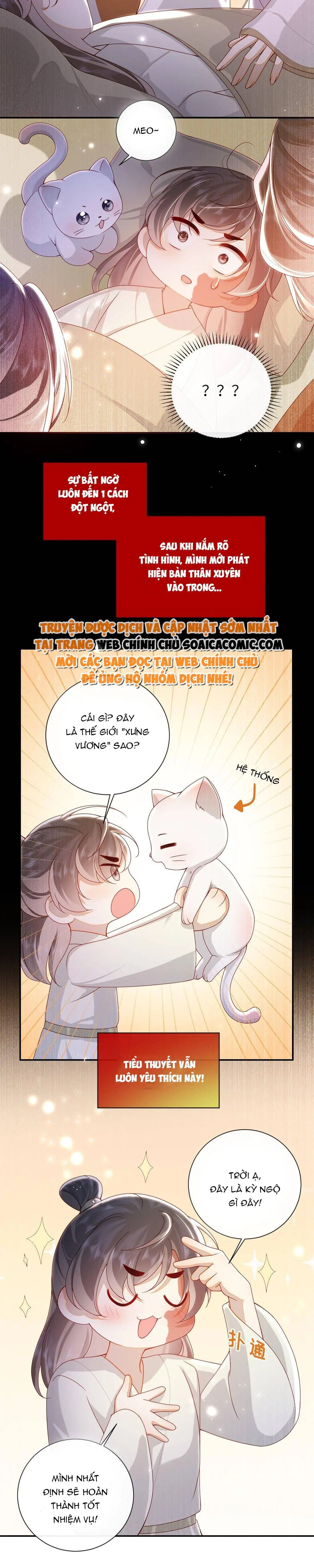 Ninita Yêu Dấu - Phần 2 Chapter 1315.5 - Trang 13